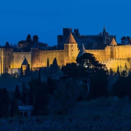 Le Panoramique - Sublime Vue Sur La Cite Apartamento Carcassonne Exterior foto